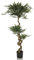 hjh OFFICE Pianta artificiale ACACIA Pianta decorativa artificiale 155 cm, albero artificiale di facile manutenzione, verde 871054