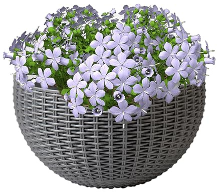 Wand-Blumentopf, Rattan-Töpfe, 26 x 20 cm, Halbrunder Pflanzgefäß, Pothos-Sukkulenten, rustikaler Hängekorb für Balkon, Wohnung, Garten, Terrasse