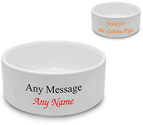 Personalised Small Pet Bowl, Personalise with Any Name in Any Font with Any Text Colour