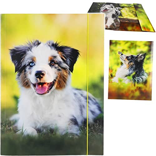 alles-meine.de GmbH XXL A3 - Zeichenmappe/Sammelmappe Motivwahl Hund - Ordner - 44 cm - Mappe für Hefte Zeitschriften Zeichnungen - Gummizugmappe/Kinder Erwachsene Mädc..