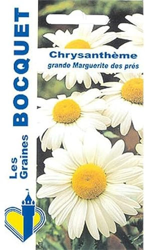 Sachet de graines de Chrysanthème grande marguerite Reine des Prés - 1 g - fleur vivace - LES GRAINES BOCQUET