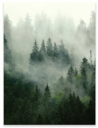 WallArena Poster Wald Nebel Natur 50x70 cm Hochformat - OHNE RAHMEN XXL Wandposter Kunstdruck Fotoposter Wandbild Wandbilder Wand Bild auf Poster Wohnzimmer Schlafzimmer Küche