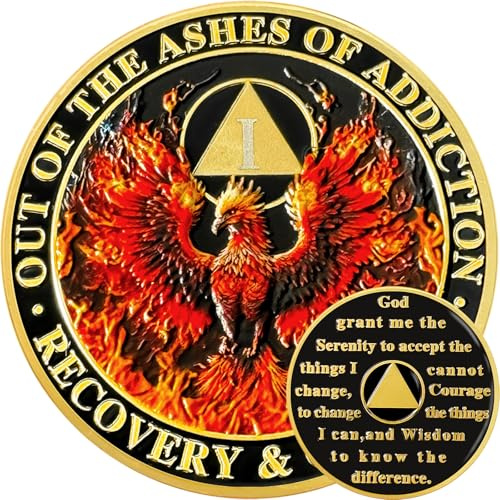Phoenix in Fire Nüchternheit Münze Flamme Nüchternheit Chip AA Münze AA Chips Und Medaillon Recovery Chip Nüchternheit Token Nüchternheit Geschenke Für Männer Frauen Alkoholiker Anonyme Geschenk