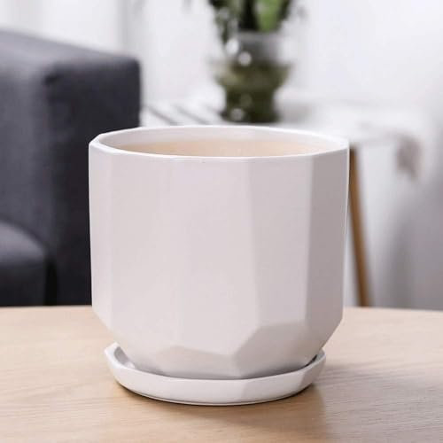 PUFAHAU Blumentopf aus Keramik, robuster Behälter, schönes Aussehen, Übertopf, kreativer, einfacher Blumentopf, grüner Rettich, Fleischtopf, Topf, Heim-/Küchendekoration, Blument(White-17.5cm*18.7cm)