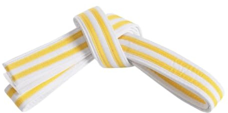 Mastery Little Dragons (White belt/double yellow stripe, 1)