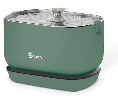Bandit 2,5 l trådlös kattvattenfontän - 30 dagars batteritid, 4-stegs filtrering, intelligent rörelsedetektor, ultratyst, lägre än 30 dB - rostfritt stål, grön
