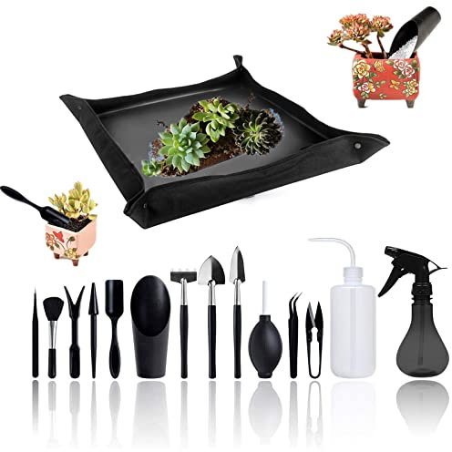 Garten Sukkulenten Werkzeugset, 14 pcs Mini Garten Handtransplantations Sukkulenten Werkzeug mit Plant Repotting Transplantationsmatte für die Pflege von Miniatur Pflanzen im Innenbereich