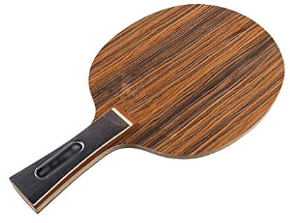 Raqueta de Tenis de Mesa, Placa Inferior, Pala de Ping Pong, Mango Largo, Jugadores de Ataque rápido, Deportes de Interior