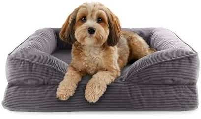 Lumaland orthopädisches Hundebett aus Cord | ergonomisches Hundesofa 70x60 cm - für kleine Hunde | Boden rutschfest | Füllung und Bezug waschbar | Hundekörbchen mit Memory Schaumstoff