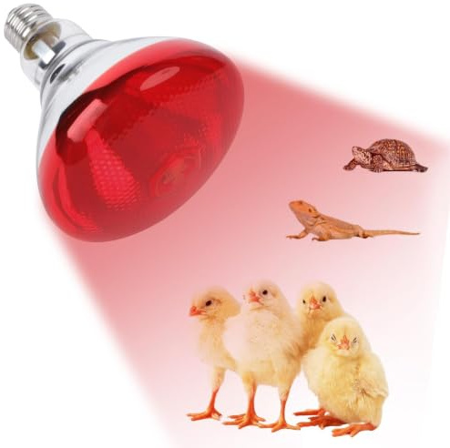 Lampada Riscaldante Per Pulcini, Lampadine Riscaldanti A Infrarossi Spesse E Sicure - Luce Rossa Affidabile Con Resistenza Agli Shock Termici - Per Allevatrici, Gabbie, Incubatrici, Svezzamento, Anima