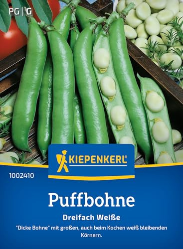 Kiepenkerl Puffbohnensamen Dreifach Weiße 1002410, Gemüsesaat | Dicke Bohnen mit großen Körnern, loses Saatgut für sonnige Standorte, Bohnen Pflanzen Gemüsesamen, ertragreich