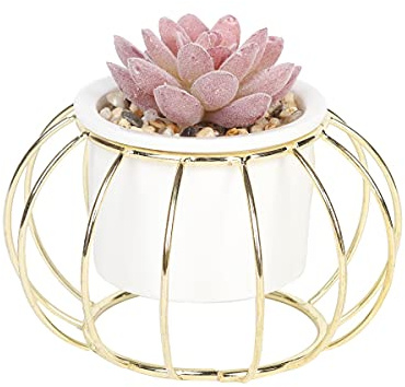 Sleepdown Halo Red Succulent Artificial Faux Plant Gold Cage Stand for Home Office Bathroom Decor Indoor Decoration Aesthetics, Small