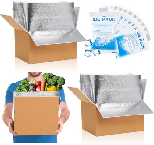 Honoson 2 Pcs Thermal Insulated Shipping Boxes for Frozen Food with Ice Pack and Aluminum Foil Liner for Shipping Big Cold Pack Cooler Mailing Boxes for Moving Hot Frozen Food (12'' X 10'' X 7'')