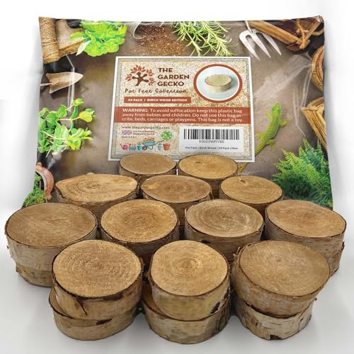 The Garden Gecko Lot de 24 pieds invisibles pour pots de fleurs et pots de fleurs en bouleau EPDM massif Édition bois de bouleau