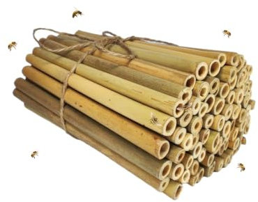 INature Solitary Bee Bamboo Tubes - 4 Length, Pack of 100, Perfect for Mason Bee Houses and Garden Pollination Kits