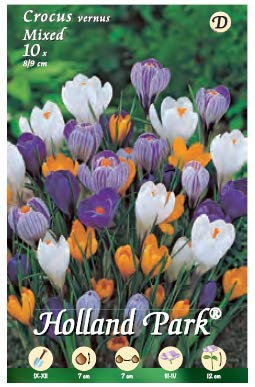 Holland Park bulbi da fiore di molte varietà e colori in sacchetto blister con foto (CROCUS VERNUS MIX 10 bulbi)