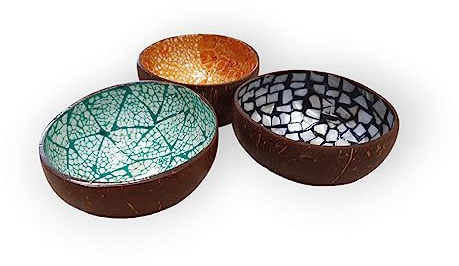 Kinaree Bol en noix de coco avec nacre – Bol décoratif en coquille de noix de coco naturelle – Bol à collation avec une touche tropicale