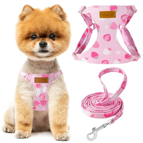 SlowTon Hundegeschirr mit Leine, No-Pull leichtes weiches Wildleder-Welpengeschirr mit Blumenmuster und Schnappschnalle, verstellbares Geschirr Hund für kleine und mittelgroße Hunde(Blau, XXS)