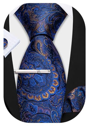 Barry.Wang Herren Seiden-Paisley-Krawatten mit Taschentuch Manschettenknopf Krawattenset Feierliche Hochzeit 3PCS