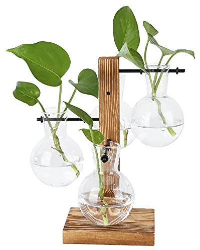 AUNMAS Terrario per Piante con Supporto in Legno, Vaso di Fiori con Vetro Borosilicato a 4 Bulbi e Supporto in Legno Massello per la Coltura da Tavolo