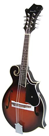 ZENGXUE Cutaway F Type 8 String Guitar Mandolin Instrument With Leather Case Mandolin Musical Instrument (Color : 02)