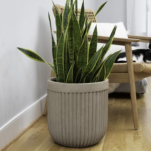Ilyapa Maceta grande de hormigón estriada de 14 x 14 pulgadas, maceta grande para interiores con drenaje, jarrón de cemento para árbol, porche, cubierta, macetas grandes de 14 pulgadas para plantas,