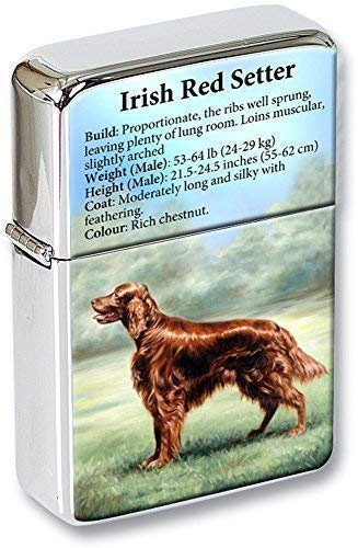 Irlandais Rouge Setter Briquet à Capuchon Amovible Boîte de Cadeau