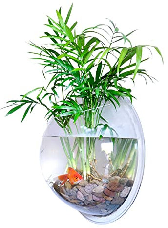 lulalula Serbatoio da appendere alla parete, decorazione per acquario da appendere alla parete, in acrilico, vaso da fiori trasparente, vaso da fiori da appendere all'acquario