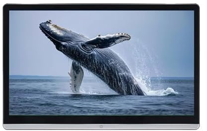 Lecteur DVD de voiture Moniteur D'appui-tête De Voiture Avec Écran Tactile IPS 13,3/14 Pouces Double HDMI For Lecteur De Siège Arrière De Voiture, Vidéo, Musique, FM, BT, WIFI(14 inch 8G-128G-1P)
