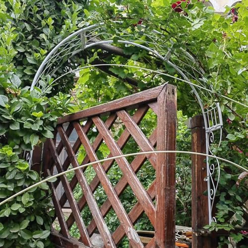 Jardin en métal Arc Arc en Treillis Mural Arc Rose archite