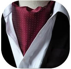 HISDERN Krawattenschal Burgund Herren Hochzeit Ascot Krawatte Gepunktete Elegant Business Halstuch