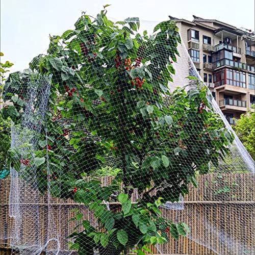Filet Anti-Oiseaux Robuste pour Arbres fruitiers/Plantes/fraisiers, Grande clôture de Jardin en Plastique Blanc, barrières temporaires pour Animaux, clôture pour poulailler (Couleur : l x h