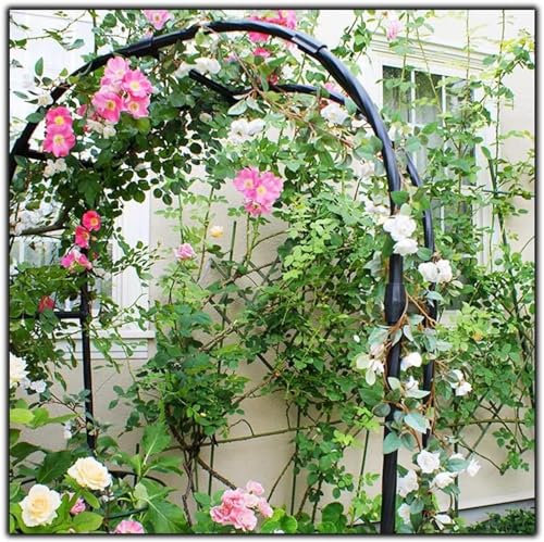 XUJIAY Rosenbogen, Garten-Torbogen Aus Metall, Pergola Rankhilfe Verzinkt Rost, Laubengang Rankgestell Mit Sockel Für Verschiedene Kletterpflanzen, Einfache Montage, 6 Größen,300x220x40CM