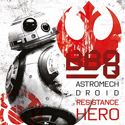 Star Wars The Last Jedi BB-8 Resistance Hero, 40 x 40 cm, Leinwanddruck
