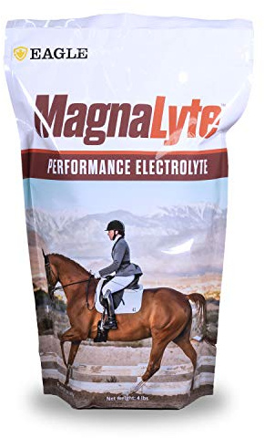 MagnaLyte Loose Salt and Electrolytes for Horses by Eagle Equine | Mineral sea Salt, Trace Minerals, Electrolytes | 4 lb Bag