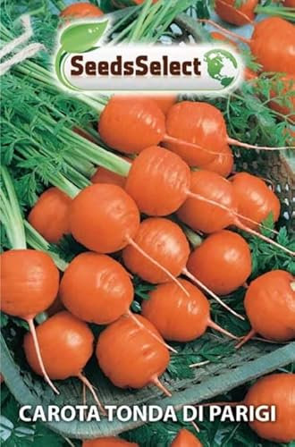 SEMI SEMENTI DI CAROTA TONDA DI PARIGI IN BUSTINA
