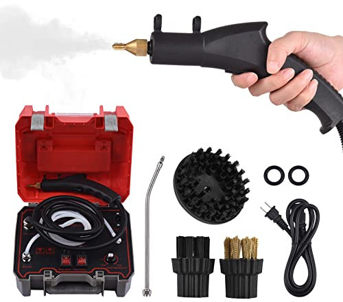 Ailgely Pulitore a vapore portatile da 2000 W, multifunzione pulitore a vapore, pulitore a vapore ad alta temperatura, senza serbatoio e vapore ad alte prestazioni, per cucina, soggiorno, bagno, auto