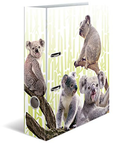 HERMA 19952 Ordner A4 Exotische Tiere Koalafamilie, 10 Stück, 7 cm breit, Motiv Aktenordner aus Pappe mit Innendruck für Schule & Büro, stabiles Kinder Ringordner Set aus Karton für Jungen & Mädchen