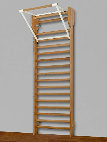 ARTIMEX Ensemble d'espalier et Barre de Traction pour la physiothérapie et la Gymnastique - Utilisé dans Les Maisons, gymnases, cliniques, centres de Fitness et écoles, Code 259-F