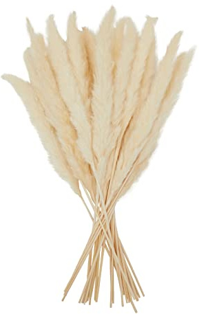 Juvale Natural Pampas Grass Stems - 30-Pack, 17 in, White, Dried - Rustic Farmhouse Decor & Vase Filler - Home, Wedding & Table Decor