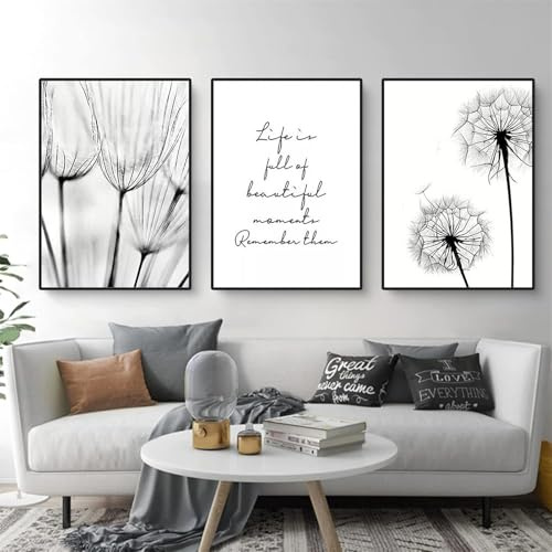 AQCQDQ 3er Poster Set, Löwenzahn Bilder Set, Modern Schwarz Weiß Pusteblume Feder Leinwandbilder Wandbilder Kunstplakat Wanddeko - ohne Rahmen (40x50 cm,C)