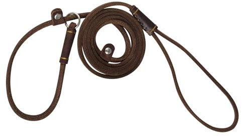 Leather Dog Leash - 5ft Adjustable Slip Lead for Small Dogs