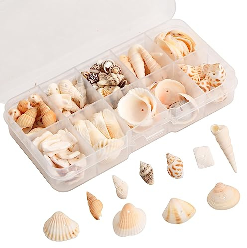 Wisebom About 90g Natural Conch Shell Beads Ocean Beach Seashells Craft Charms Natural Seashell Charms Ocean Beach Spiral Seashells with Holes for Craft Making