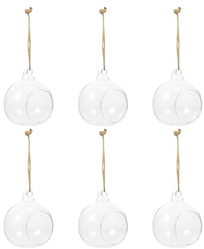 NUOBESTY Glass Ball Hanging Basin 6Pcs Hydroponic Plant Holders for Indoor Micro Landscape and Wall Hanging Display