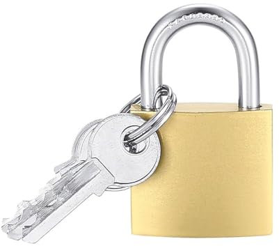 Paluplus Lucchetto a Cilindro in Metallo da 40 mm, lucchetto di sicurezza ad arco con 3 Chiavi, per recinzioni esterne, cassette attrezzi, armadi, valigie -1961