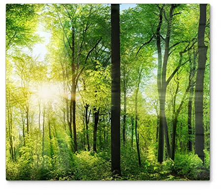 DEQORI Herdabdeckplatte Glas | einteilig 60x52 cm | Motiv Sonne durchbricht Wald | Ceranfeld Abdeckplatte für Küche | Herd-Abdeckung universal | Glasplatte & Schneidebrett für Kochplatten