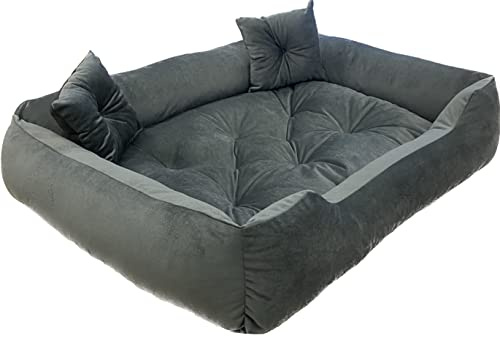 Dogs4Life Premium Hundebett mittel & große Hunde L | Orthopädisch & Gelenkschonend | Hundesofa | Hundekissen | Waschbar | Outdoor & Wasserabweisend | Robust & Formstabil | Mit Rand | Graues Velours