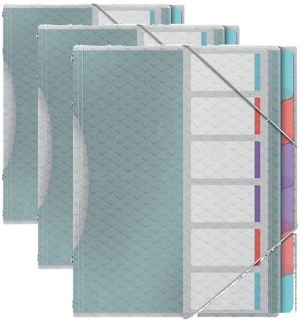 Esselte A4-Projektordner mit 6 Taben, Ordnungsmappe mit Register zur Schreibtischorganisation und Aufbewahrung von Projektunterlagen, Mit Klappen und Gummizug, Colour'Breeze Serie, Mehrfarbig, 626255
