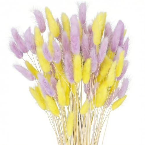Yellow & Purple Bunny Tails Dried Flowers 100 Pcs Rabbit Tails Pampas Grass Decor 17” Natural Lagurus Ovatus Boho Flowers for Easter, Spring Summer Floral Arrangements