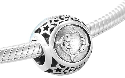 Sternzeichen-Charm: Fische aus Sterling-Silber 925 – Les Folies (Modell Pandora)